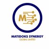 Matidoks Synergy Global